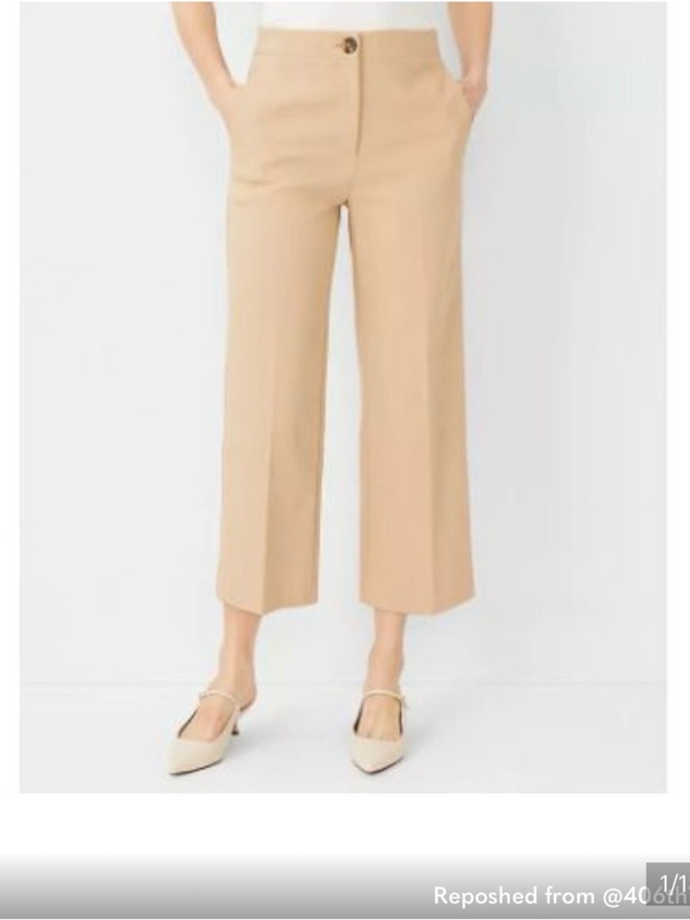 Ann Taylor Wide Leg Cropped Pants
